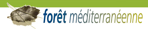 foret m&eacute;diterran&eacute;enne